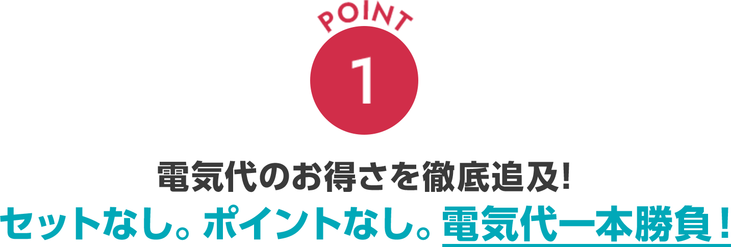 point1 電気代のお得さを徹底追及！セットなし。ポイントなし。電気代一本勝負！